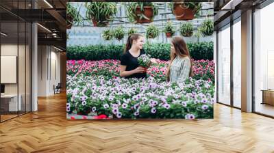 Two beautiful Slovenian girls in a greenhouse discussing seedlings of colorful flowers. Shopping, gardening. Ecology Wall mural