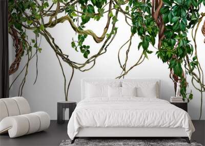 Art drawing of vines on a white background, drawing in pastel style, photo wallpaper Wall mural