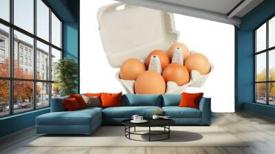 A carton pack of six brown chicken eggs isolated on white background. Wall mural