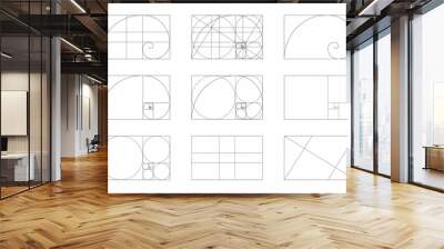 Golden ratio template set. Fibonacci sequence signs. Logarithmic spiral in rectangle frame fracted on lines, squares and circles. Ideal symmetry proportions layout. Vector graphic illustration Wall mural