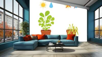 Potted blossom plant with watering and sunlight symbols vs wilted flower without care. Houseplant growing and dying. Vector flat illustration. Wall mural