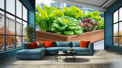 Vibrant green lettuce in a wooden planter showcasing fresh produce in an urban setting. Wall mural