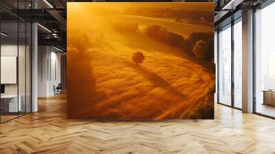 Aerial view of a rural landscape with fields of golden wheat, scattered trees, and a distant farmhouse under a vibrant sunset. Wall mural