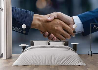 Close-up of two business professionals shaking hands in agreement, symbolizing partnership, collaboration, and successful negotiation. Wall mural