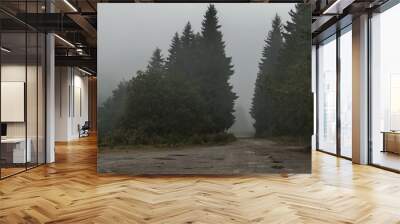 Landscape with heavy fog of Petrohan passage at Balkan mountain in rainy day, Bulgaria Wall mural