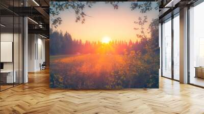 Summer night sunset view from Sotkamo, Finland. Wall mural