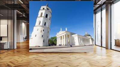 Cathedral of St. Stanislaus. Vilnius Wall mural