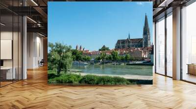 Regensburg Cathedral, in the foreground the Danube. Wall mural