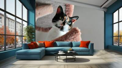 Pretty calico Wall mural