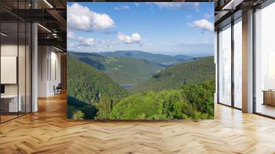 Doller Valley and and Alfeld and Sewen lakes panorama, Vosges, France Wall mural