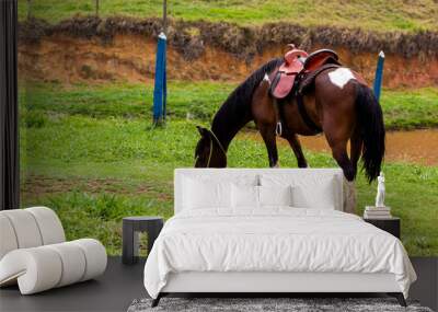 Black white brown horse on a farm with river Wall mural