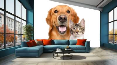 Golden retriever dog and cat portrait together on white background	 Wall mural