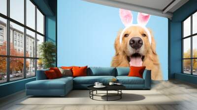 Happy Golden retriever dog bunny dressed ears rabbit easter holiday on blue background isolated Wall mural