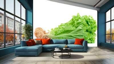 Green Lettuce Wall mural