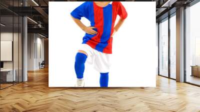 Young Player Wall mural