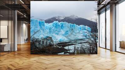  Desert Glaciers and El Calafate Wall mural