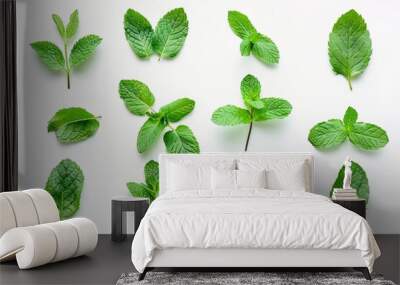 Mint Leaves Display: A Collection of Fresh Mint Variations Wall mural