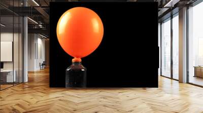 Blow up balloons using the science of baking soda and vinegar. Shot with a close-up front angle Wall mural