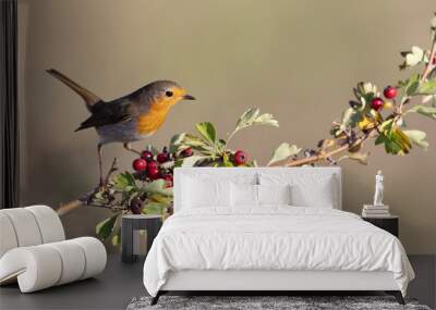 The European robin (Erithacus rubecula)	
 Wall mural