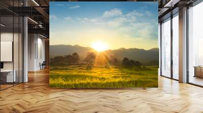  Sunset over vast blossoming meadow landscape Wall mural