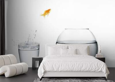 goldfish jumping out of  water Wall mural