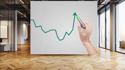 Hand writing analyze graph for trade stock market Wall mural