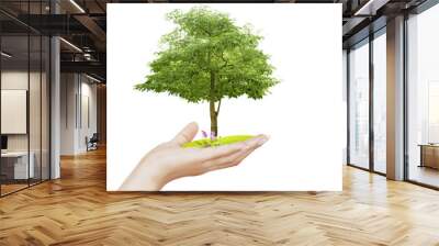 Small tree, plant in  hand Wall mural