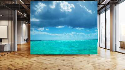 beautiful waters of the caribbean sea near saona island Wall mural