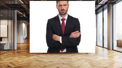 portrait of angry businessman with folded arms standing Wall mural