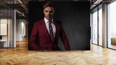 portrait of handsome elegant man wearing a red suit Wall mural