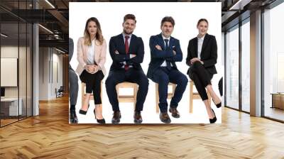 Team of 6 trustworthy businessmen smiling and looking forward Wall mural