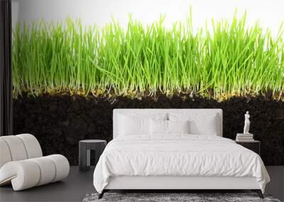 Cross-section of soil and grass isolated on white background Wall mural