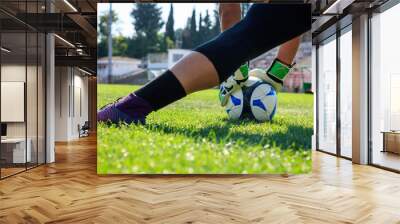 Soccer (football) goalkeeper on the field Wall mural