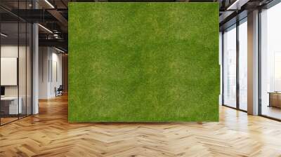 Soccer football field grass background Wall mural