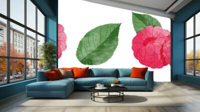 Set of Rasp berry with leaves Design elements. watercolour style vector illustration.	 Wall mural