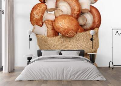 fresh mushrooms mushrooms in a bag of sackcloth isolated on a wh Wall mural