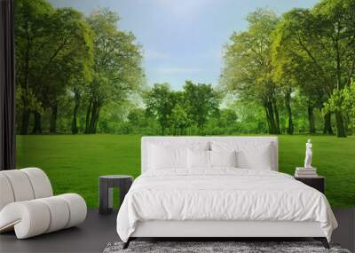 blured photo Beautiful green garden trees in the morning Wall mural