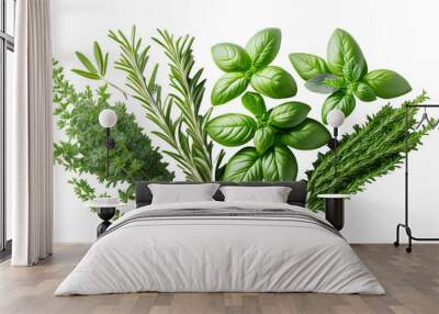 Herbs and Spices Collection Rosemary, Thyme, Basil Isolated on Transparent Background Wall mural