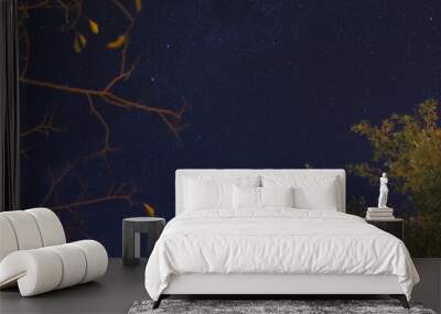 abstract astrophotography landscape of midnight sky with stars in the background Wall mural