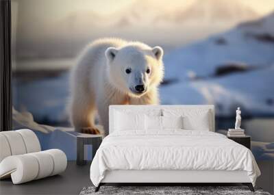 Polar bears walks in extreme winter weather, standing above snow with a view of the frost mountains Wall mural