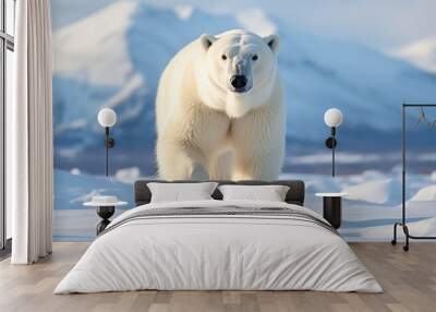 Polar bears walks in extreme winter weather, standing above snow with a view of the frost mountains Wall mural