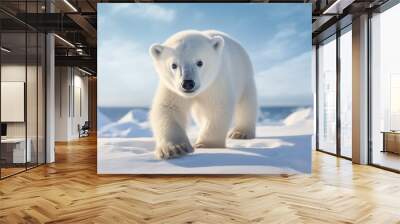 Polar bears walks in extreme winter weather, standing above snow with a view of the frost mountains Wall mural