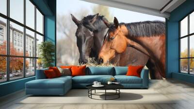 Two horses eating hay Wall mural