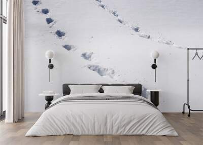 snow print texture Wall mural