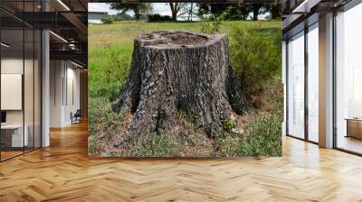 Old tree stump surrounded by grass in the backyard of a farm house. Wall mural