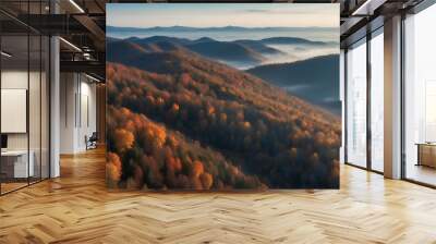 Aerial view of autumn forest at misty morning  Wall mural