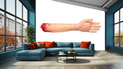 Fake severed human arm with terrible blood isolated on white background. Clipping path inside. Wall mural