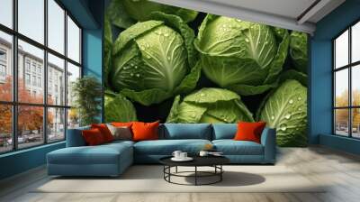 Beautiful cabbage head with dew droplets on the green fresh leaves in an organic farm. Wall mural