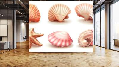 A set of 7 realistic seashells and a starfish, isolated on white background. Wall mural