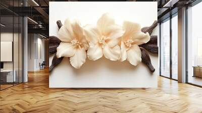 Three white vanilla flowers with brown vanilla beans on a white background. Wall mural